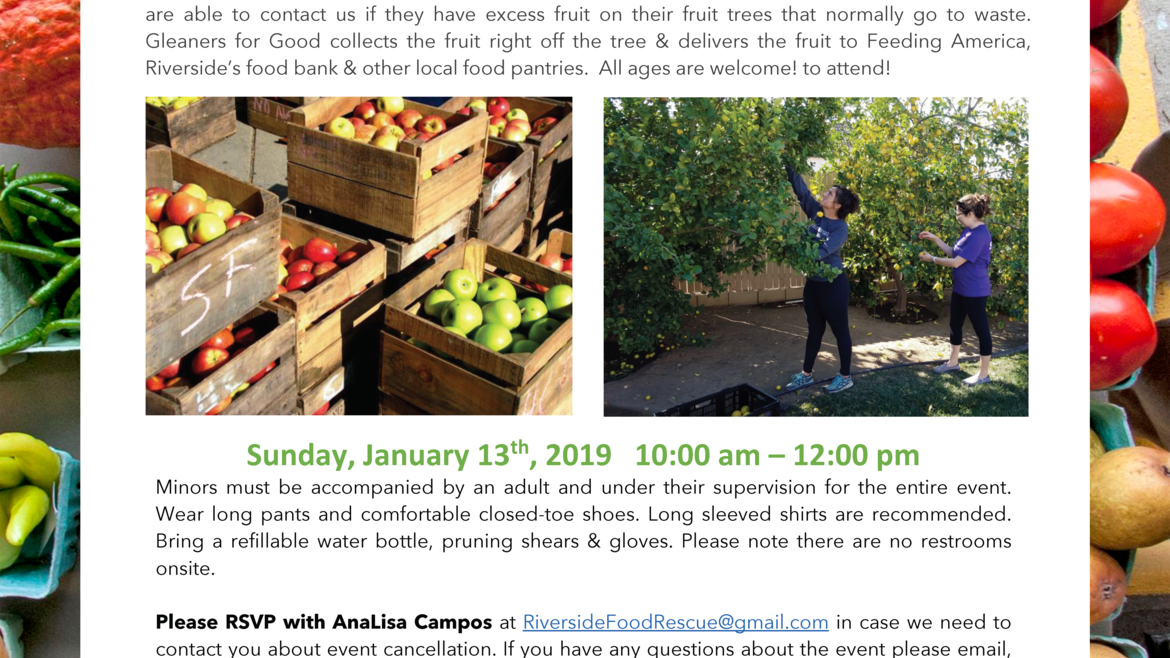 Gleaners For Good: Jan. 19th 