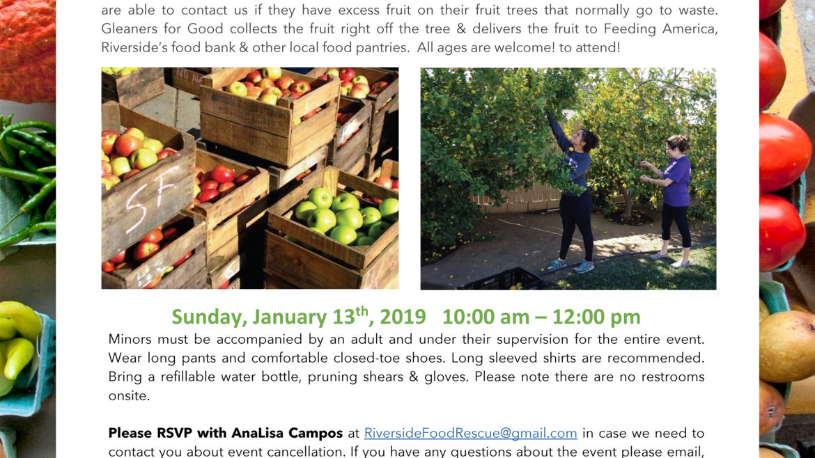 Gleaners For Good: Jan. 19th