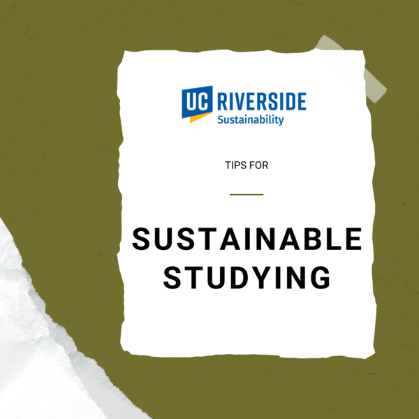 Sustainable Studying post