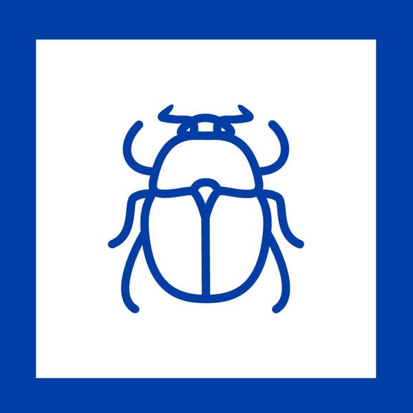 Beetle Design