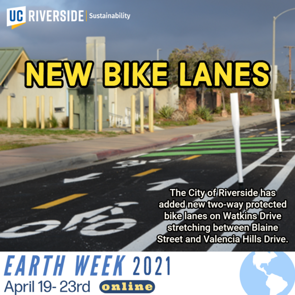 bike lane flyer