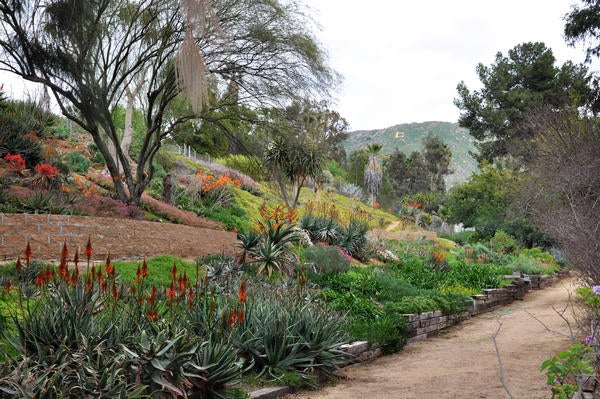 Botanic Gardens Path