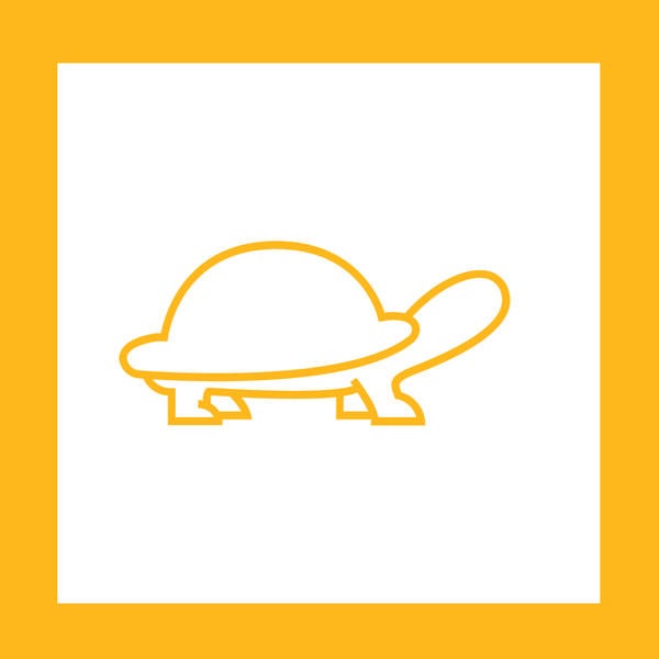 Turtle Design