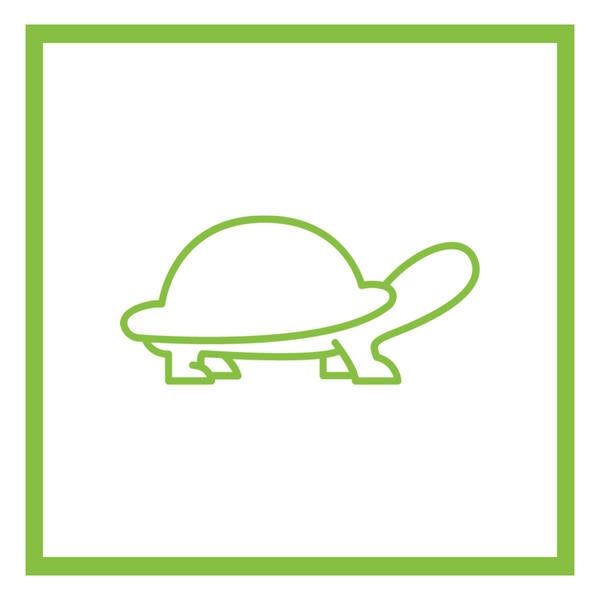 Turtle Design