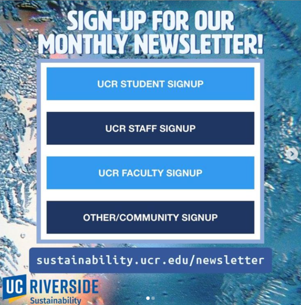 Newsletter Signup Post