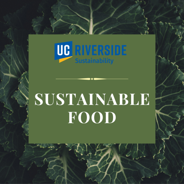 Sustainable Food