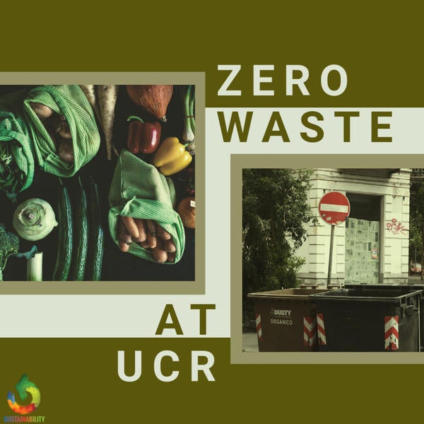 Zero Waste Posts