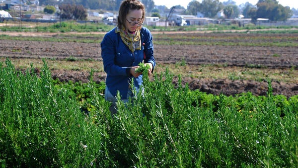 SDiegoFarmer
